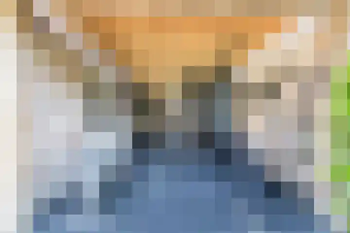 Bagijnhof 13 Veen thumbnail 65