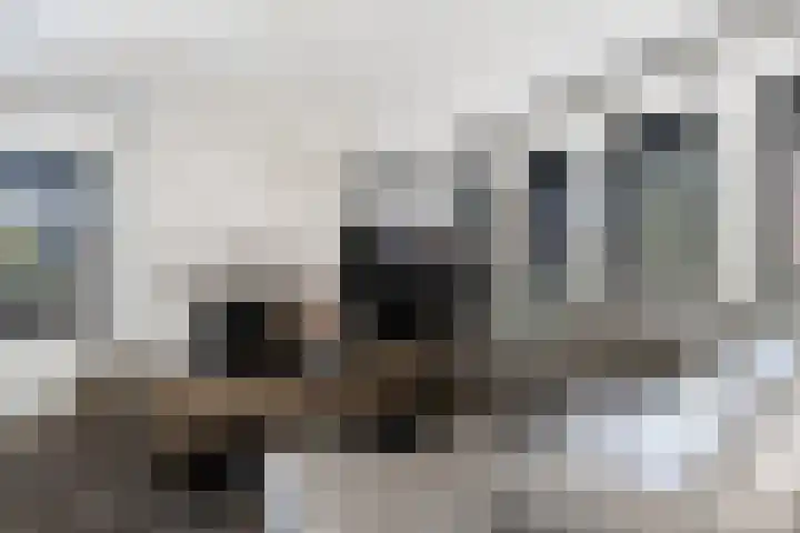 Bagijnhof 13 Veen thumbnail 9