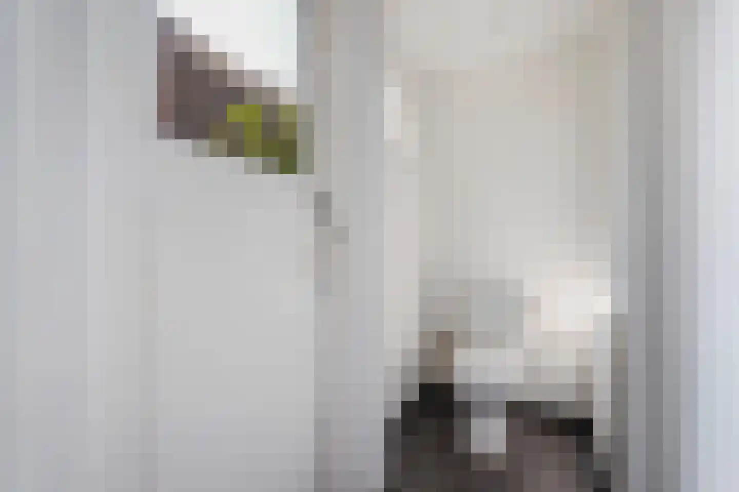 Bagijnhof 48 Delft thumbnail 13