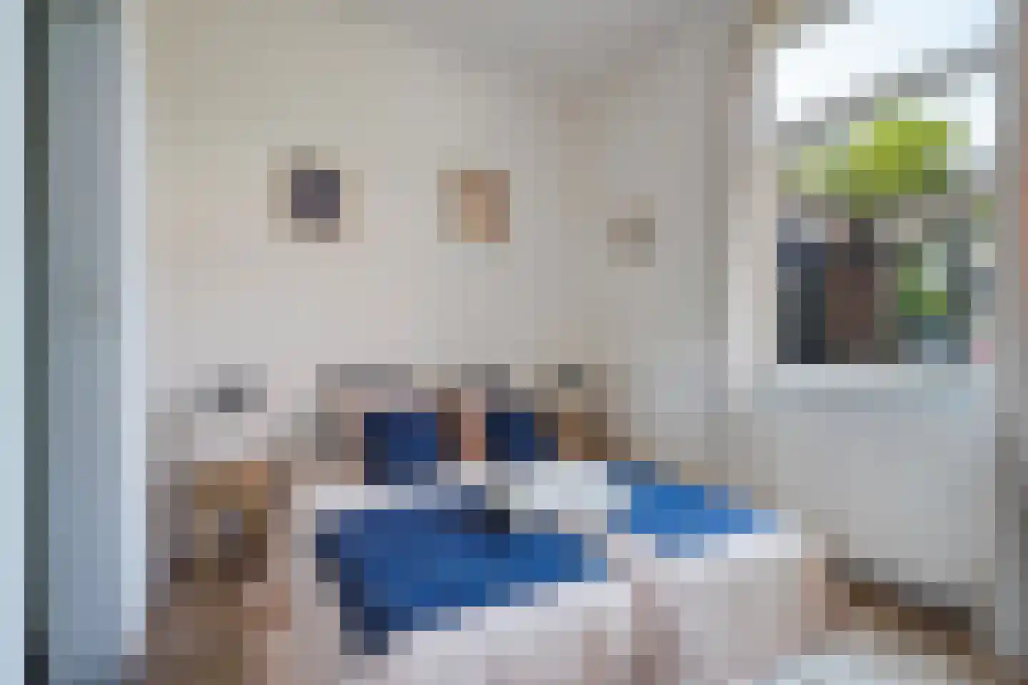 Bagijnhof 48 Delft thumbnail 15