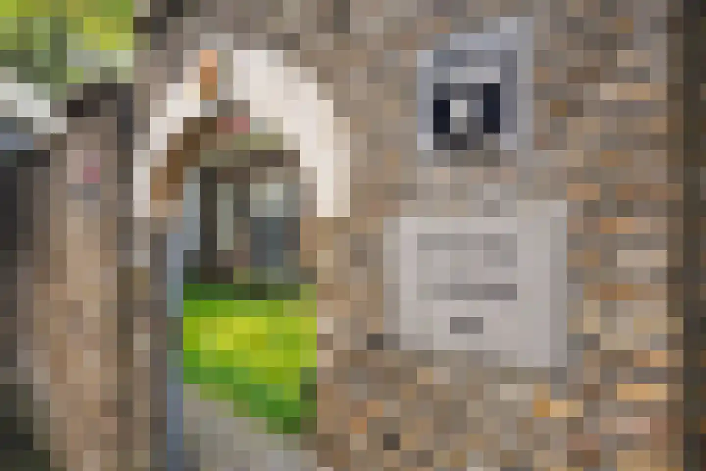 Bagijnhof 48 Delft thumbnail 24