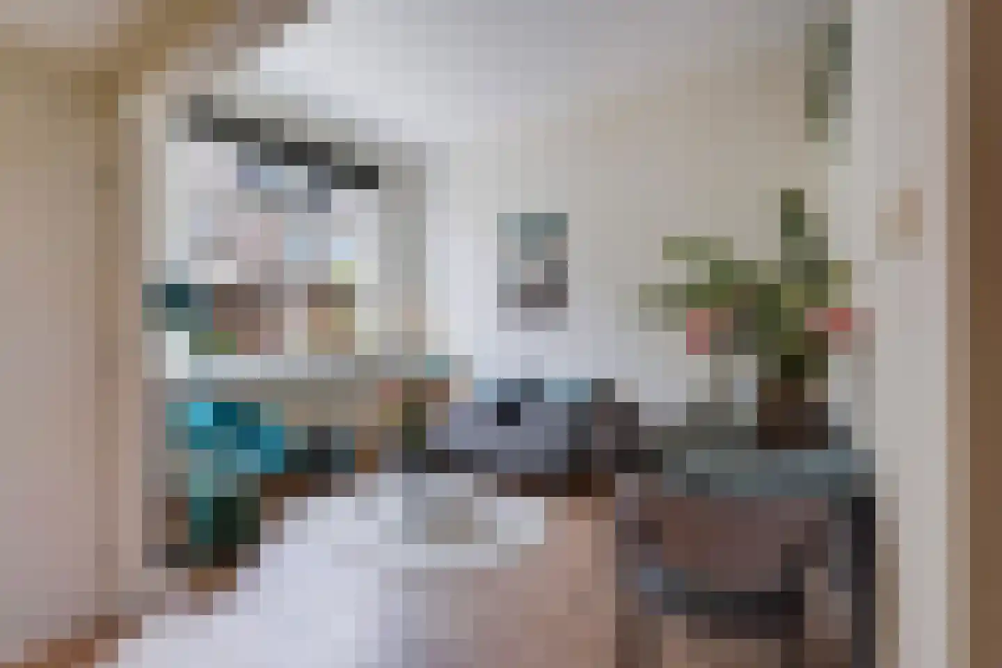 Bagijnhof 48 Delft thumbnail 7