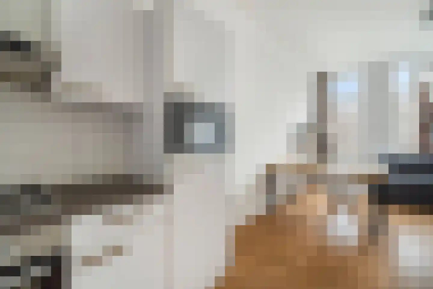 Bajonetstraat 170 Rotterdam thumbnail 20