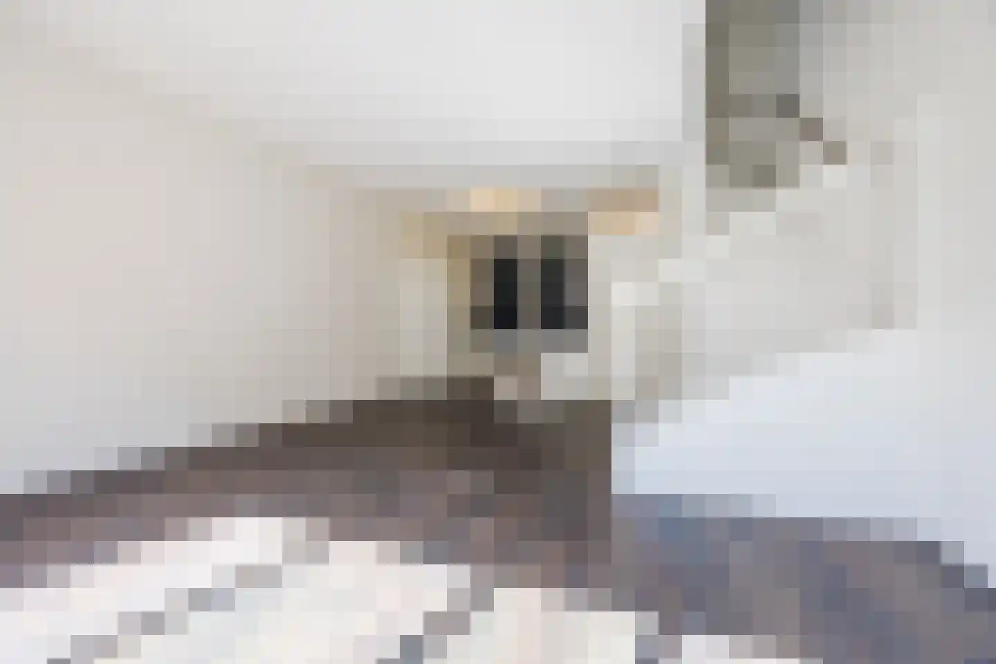 Bajonetstraat 50 Rotterdam thumbnail 10