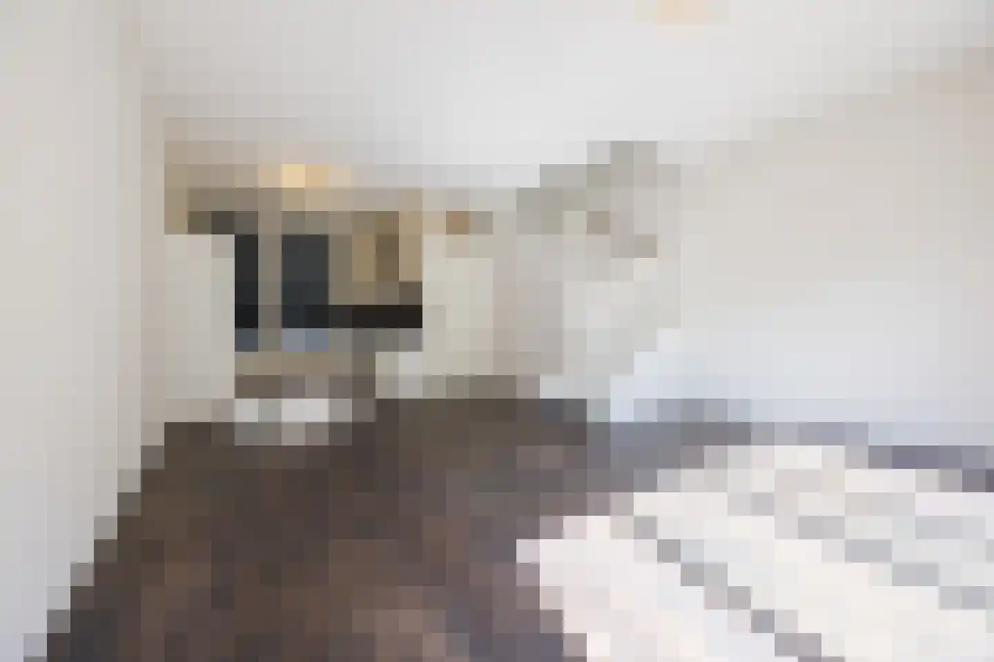 Bajonetstraat 50 Rotterdam thumbnail 11