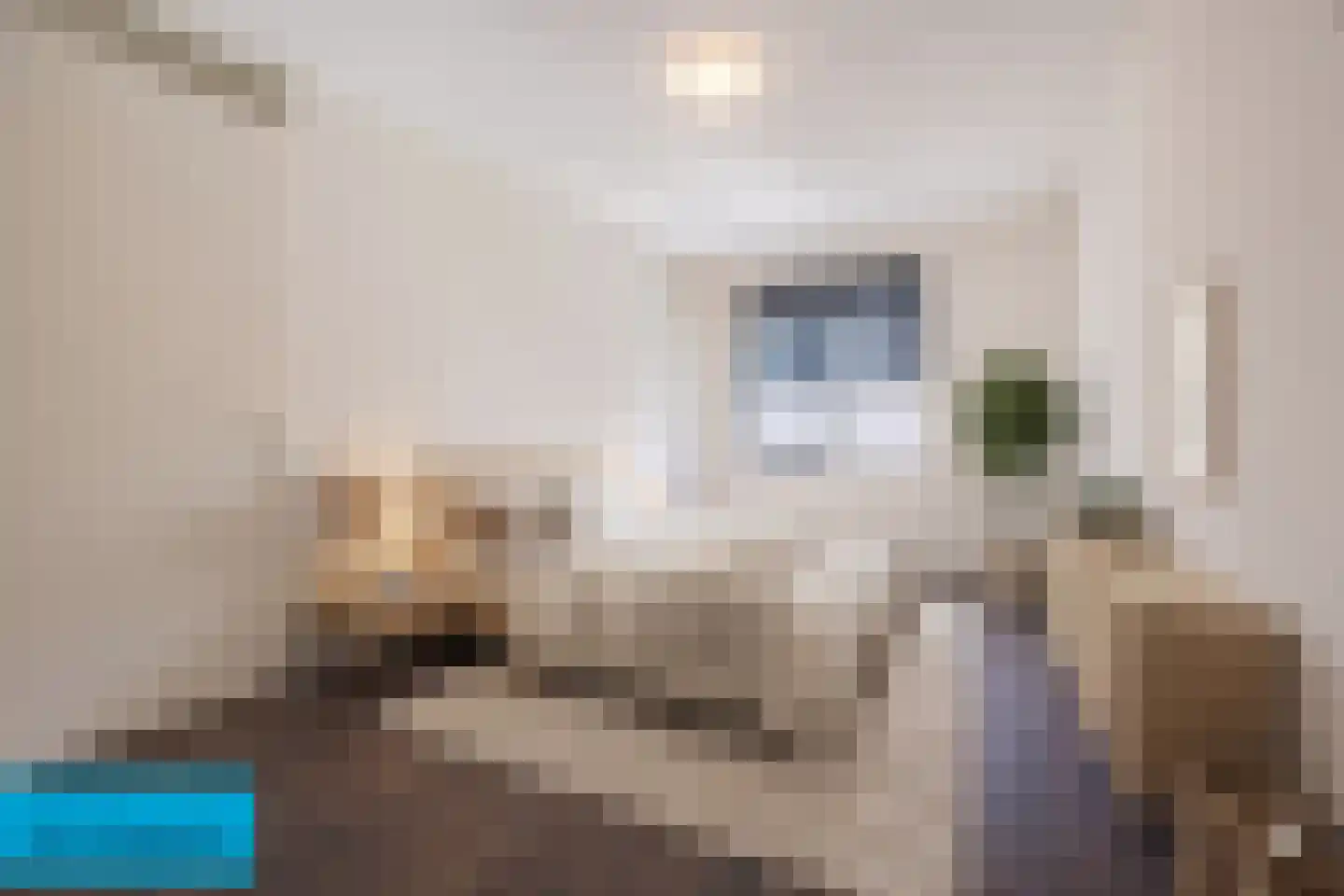 Bajonetstraat 50 Rotterdam thumbnail 21