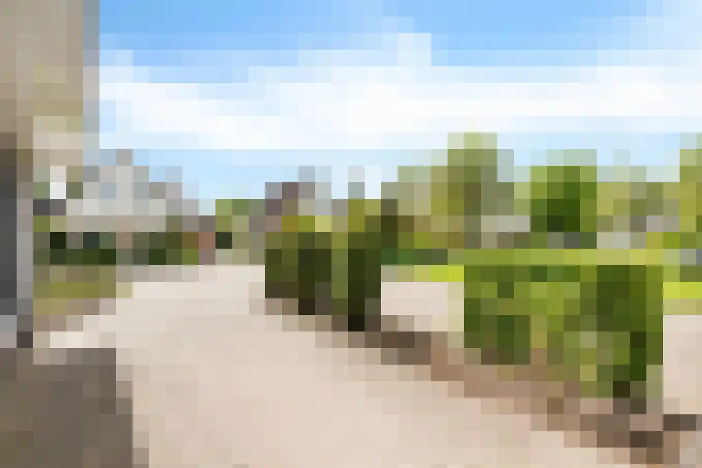 Bakboard 35 Joure thumbnail 10