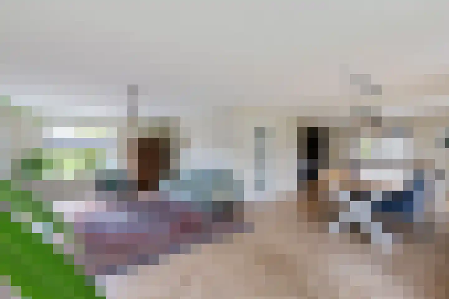 Bakboard 35 Joure thumbnail 22