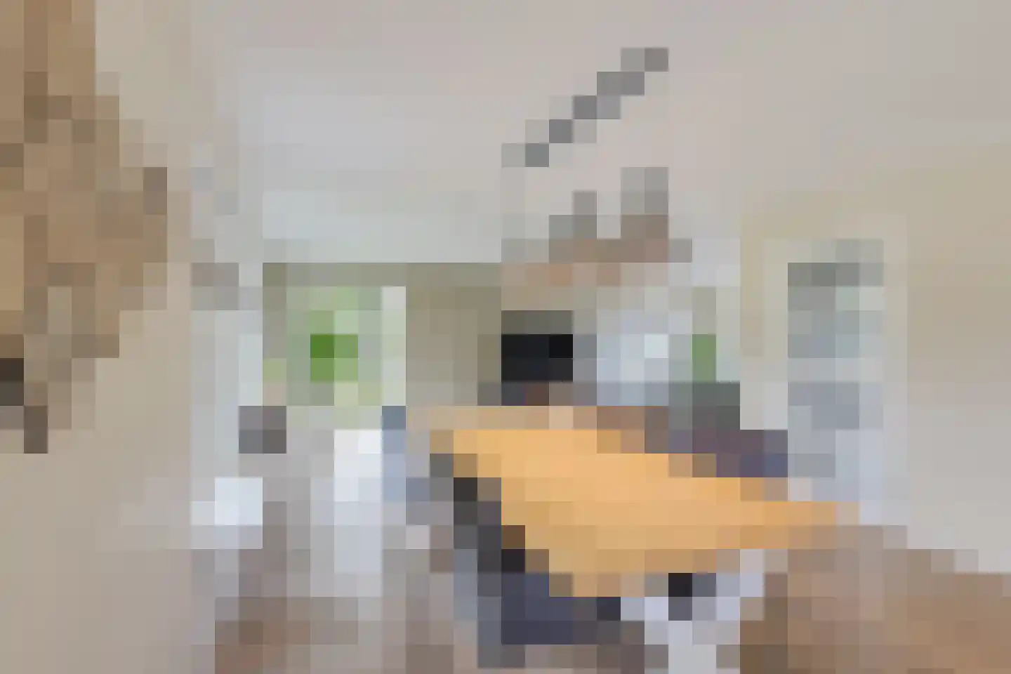 Bakboard 35 Joure thumbnail 22