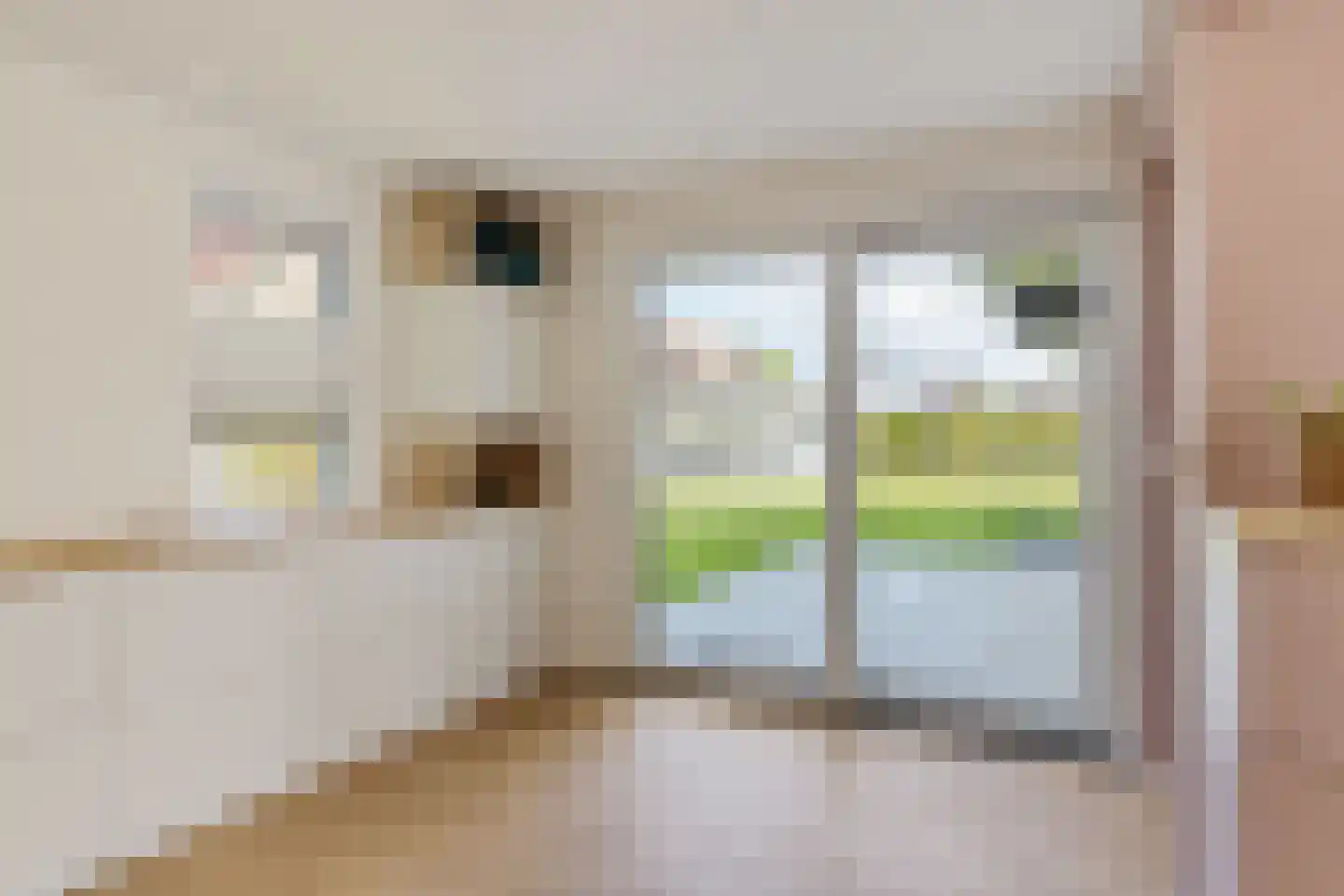 Bakboard 35 Joure thumbnail 26
