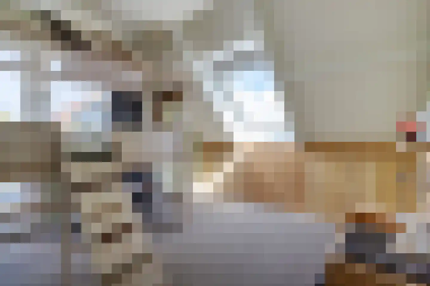 Bakboard 35 Joure thumbnail 33