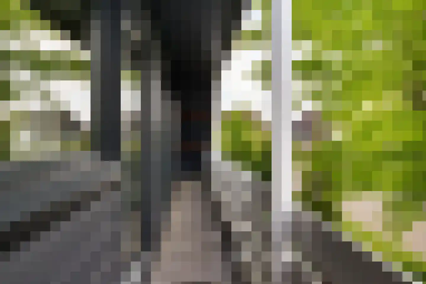 Bakboard 35 Joure thumbnail 45