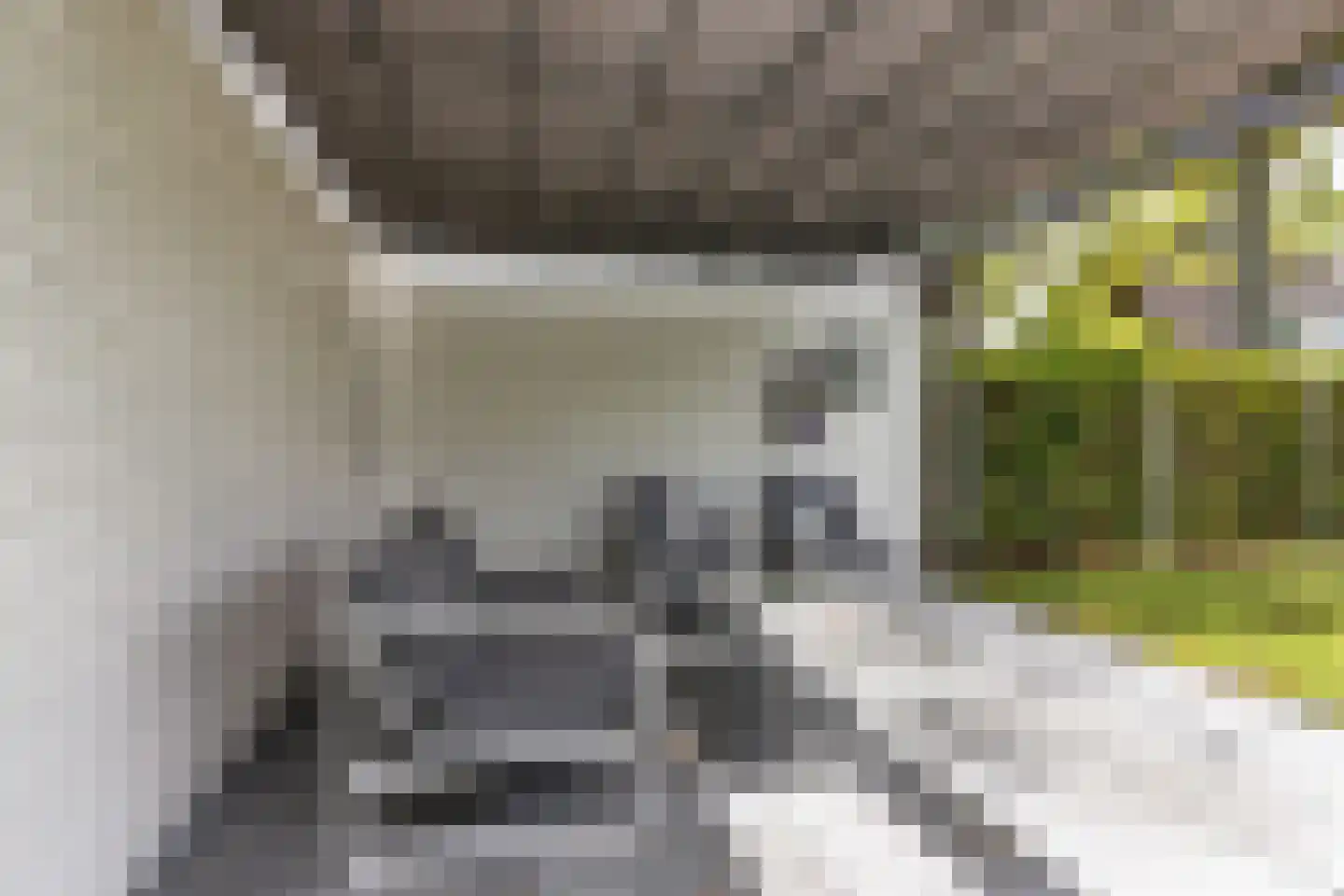 Bakboard 35 Joure thumbnail 49