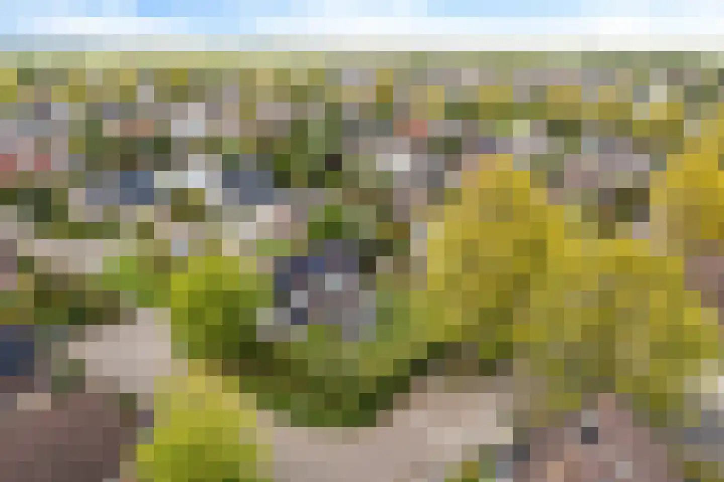 Bakboard 35 Joure thumbnail 5