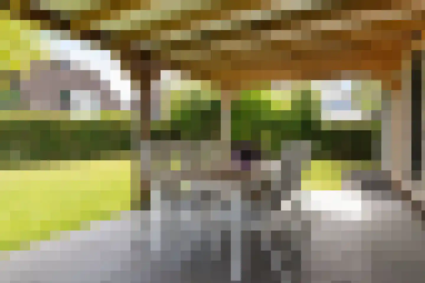 Bakboard 35 Joure thumbnail 50