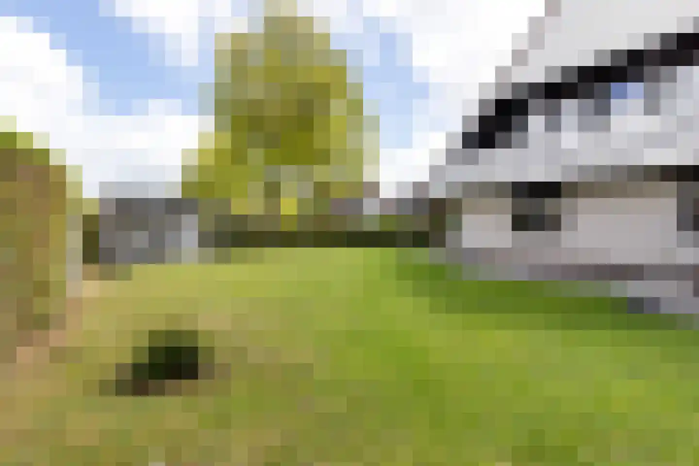 Bakboard 35 Joure thumbnail 52