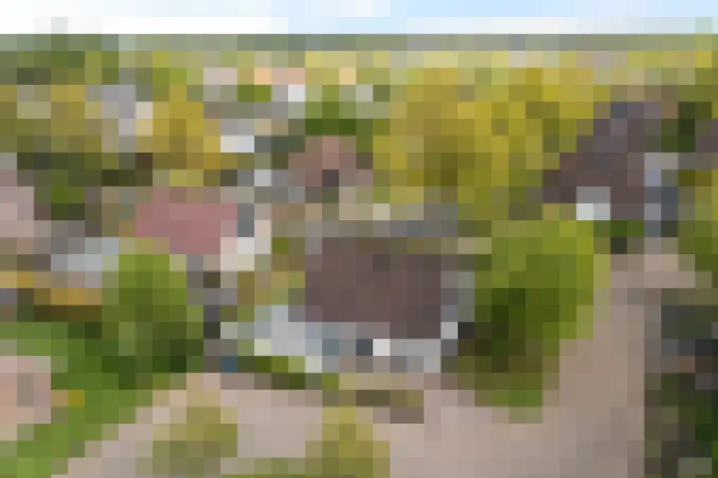Bakboard 35 Joure thumbnail 55