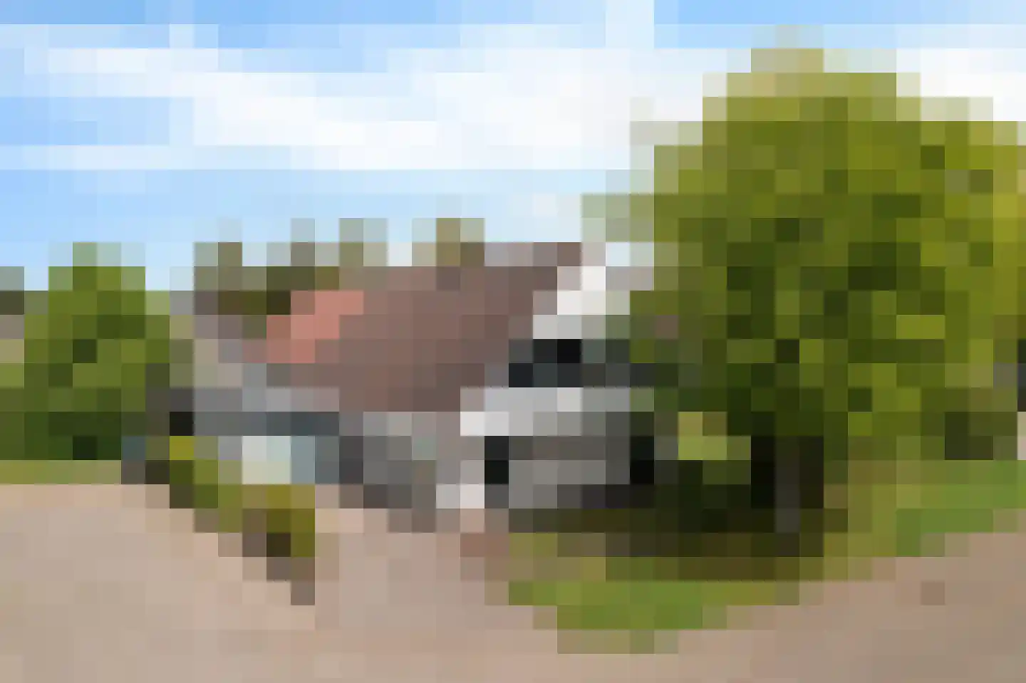 Bakboard 35 Joure thumbnail 56