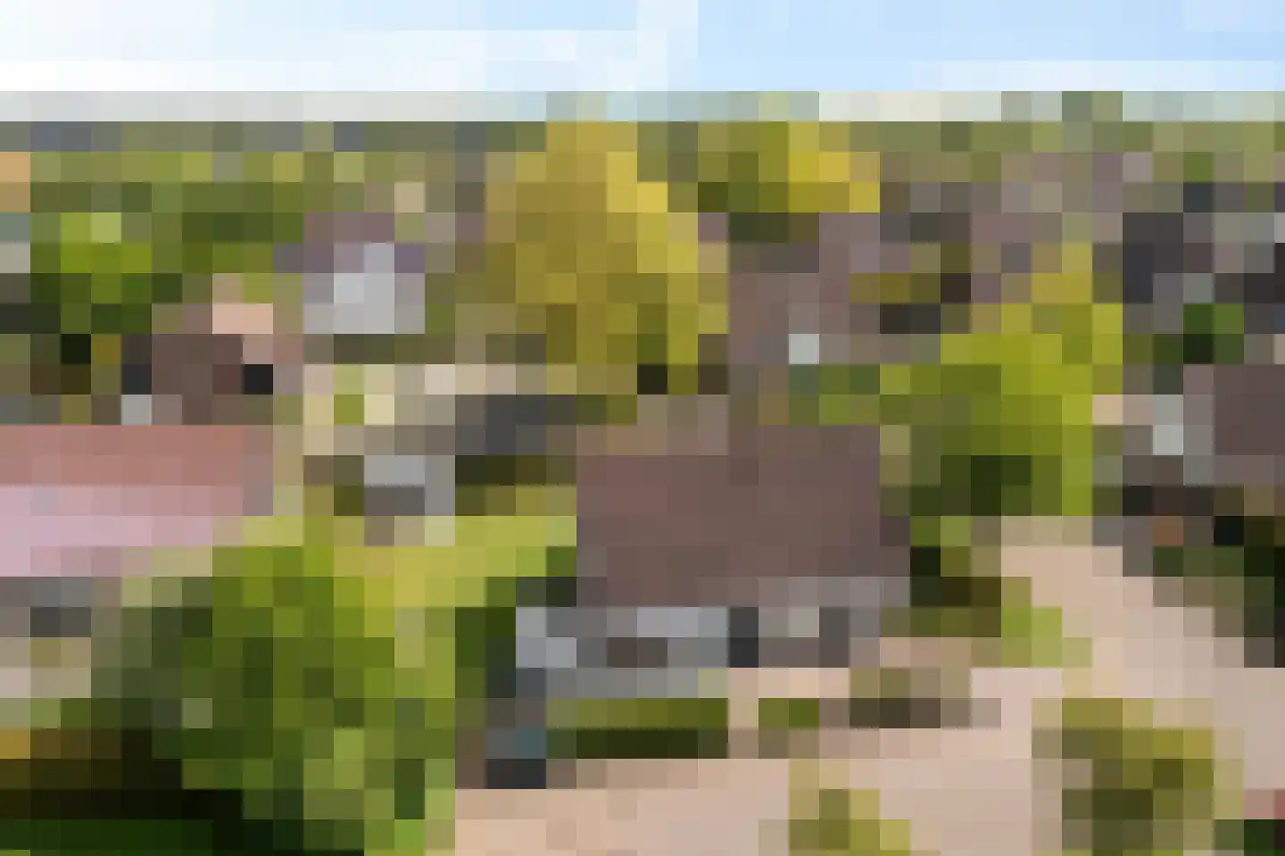 Bakboard 35 Joure thumbnail 57