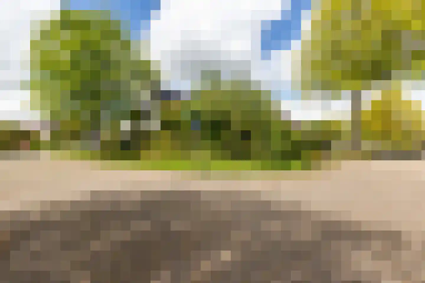 Bakboard 35 Joure thumbnail 6