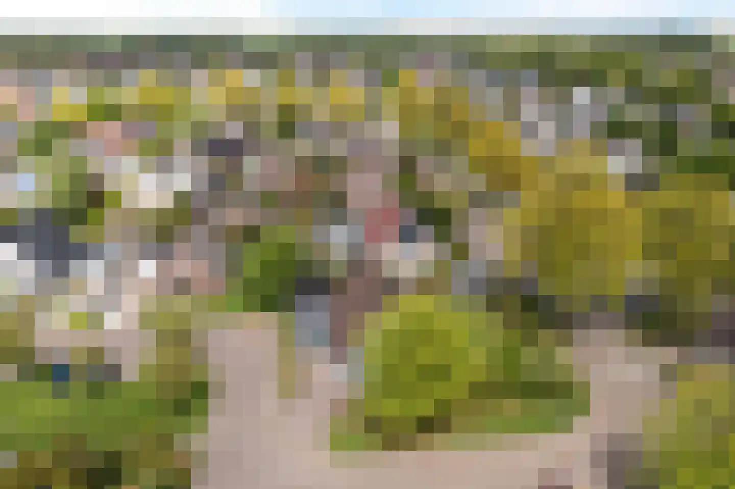 Bakboard 35 Joure thumbnail 6