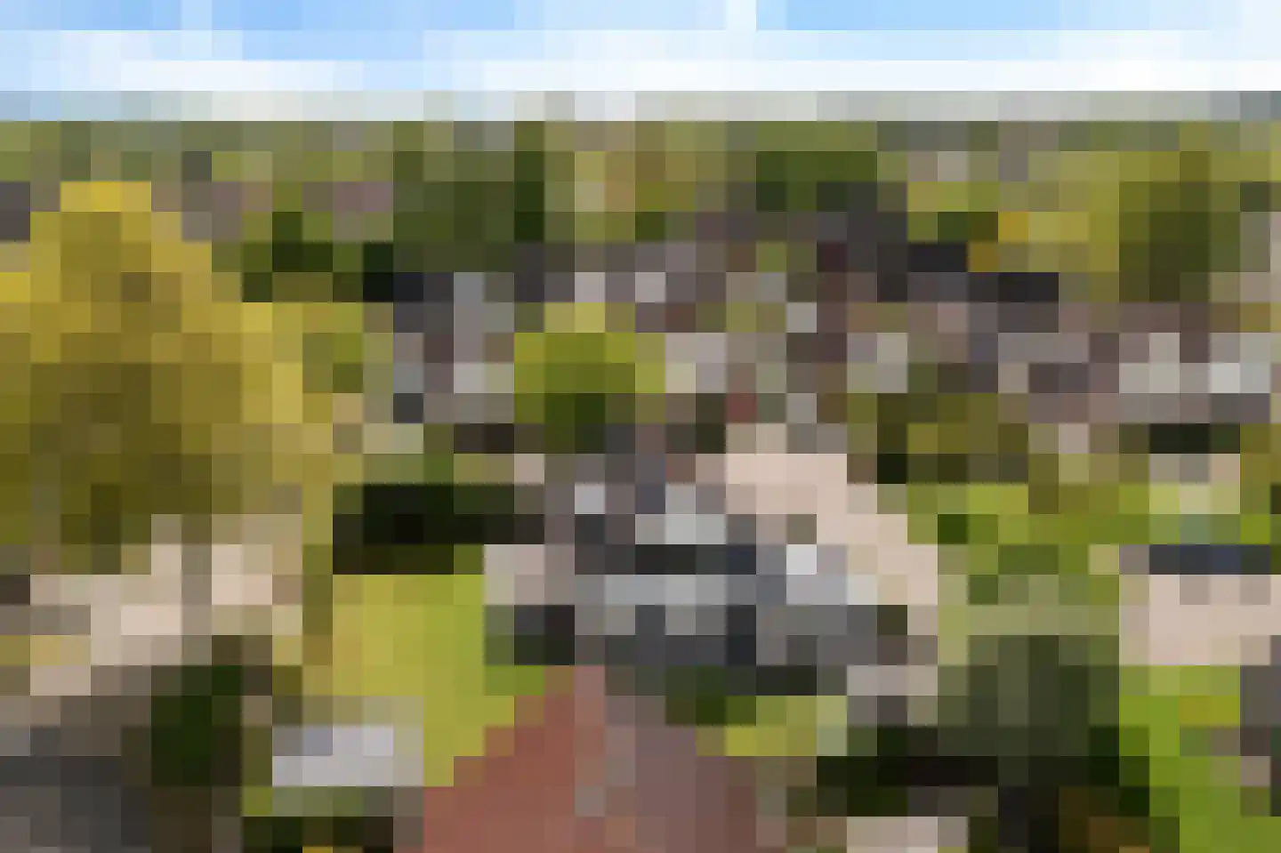 Bakboard 35 Joure thumbnail 7