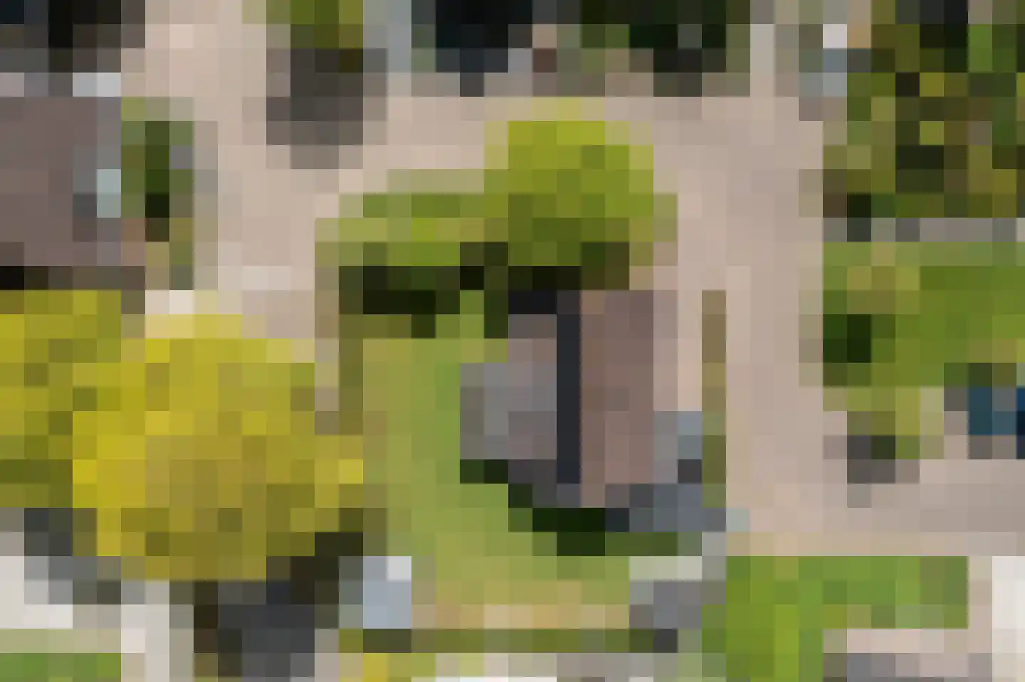 Bakboard 35 Joure thumbnail 8