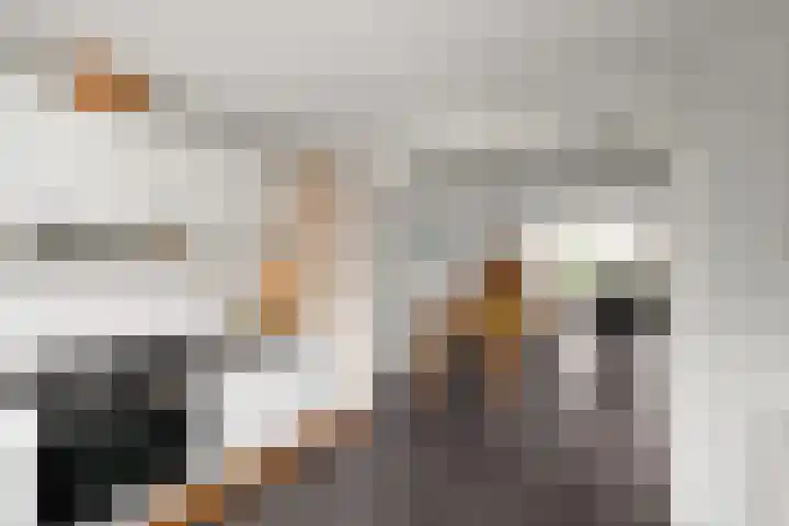 Bakboard 4 Joure thumbnail 10