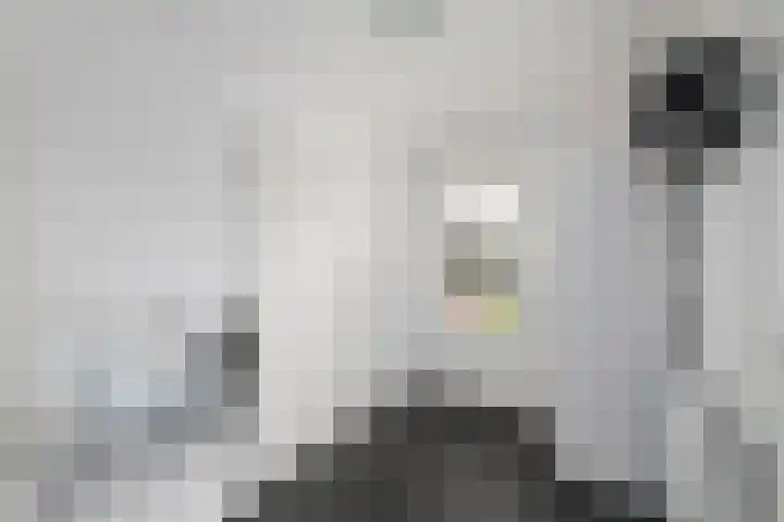Bakboard 4 Joure thumbnail 11