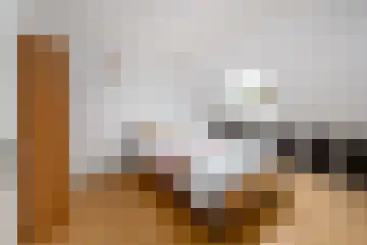 Bakboard 4 Joure thumbnail 15