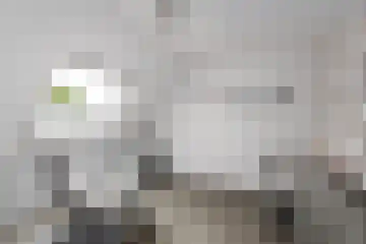 Bakboard 4 Joure thumbnail 16
