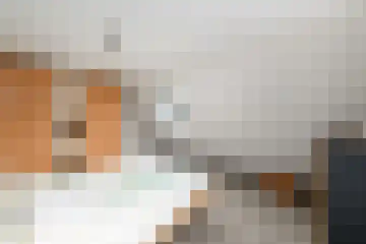 Bakboard 4 Joure thumbnail 19