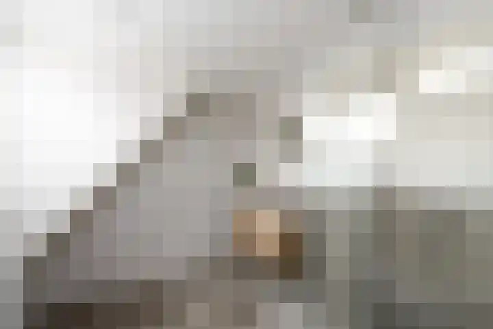 Bakboard 4 Joure thumbnail 20