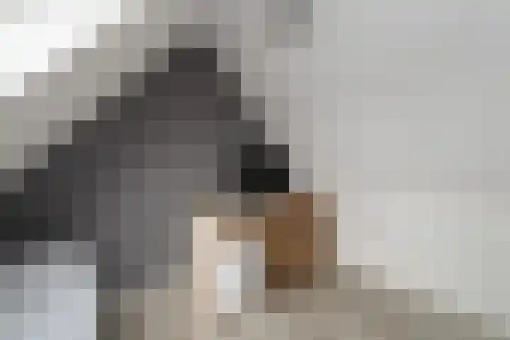 Bakboard 4 Joure thumbnail 26