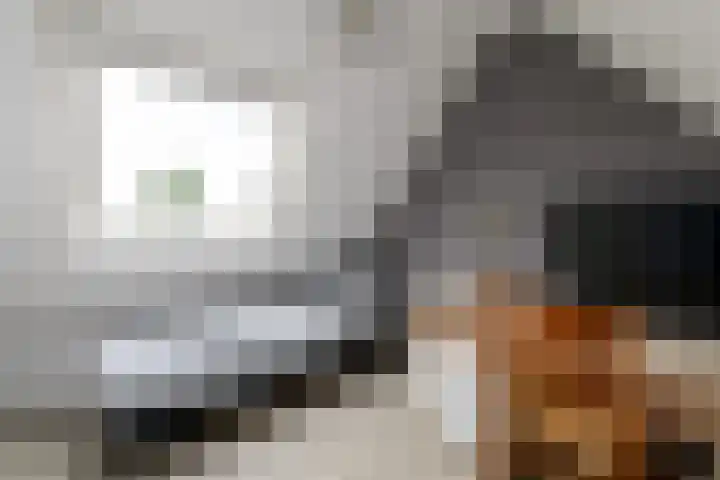 Bakboard 4 Joure thumbnail 27