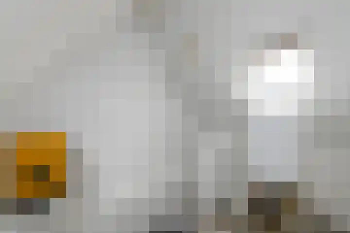 Bakboard 4 Joure thumbnail 28