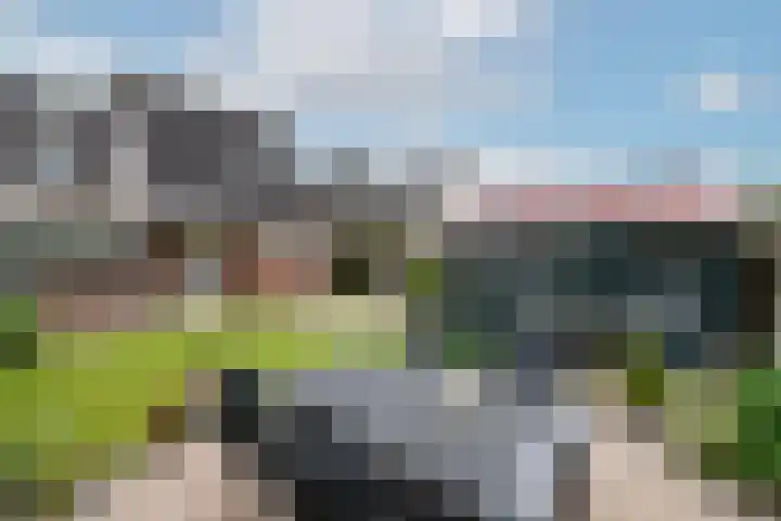 Bakboard 4 Joure thumbnail 29