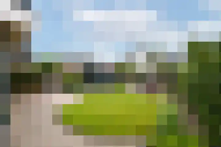 Bakboard 4 Joure thumbnail 30