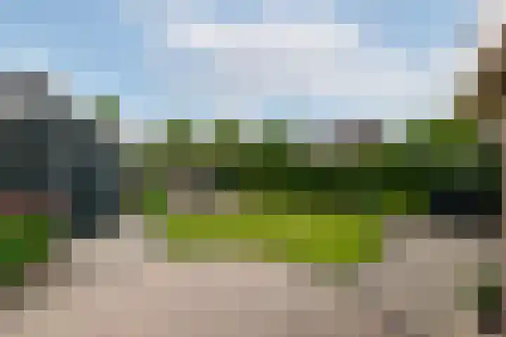 Bakboard 4 Joure thumbnail 31