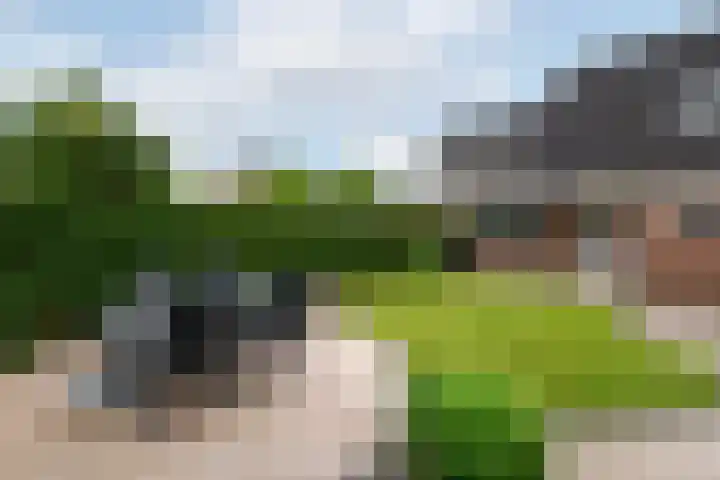 Bakboard 4 Joure thumbnail 32