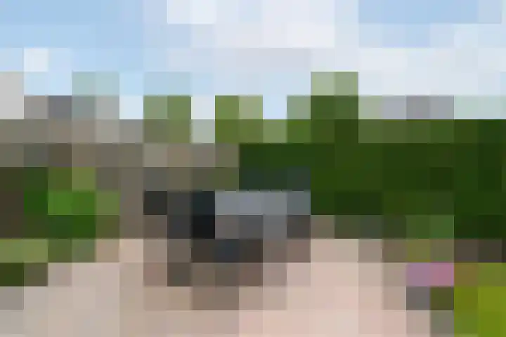 Bakboard 4 Joure thumbnail 33