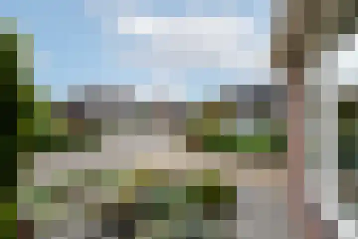 Bakboard 4 Joure thumbnail 34