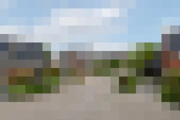 Bakboard 4 Joure thumbnail 35
