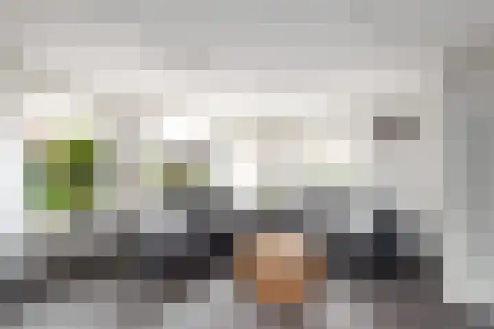Bakboard 4 Joure thumbnail 4