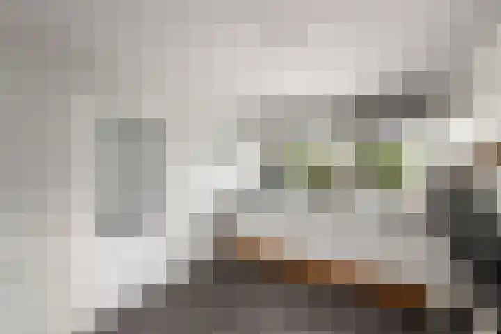 Bakboard 4 Joure thumbnail 9
