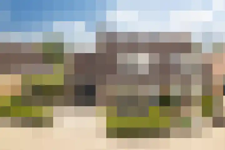 Bakboard 7 in Joure
