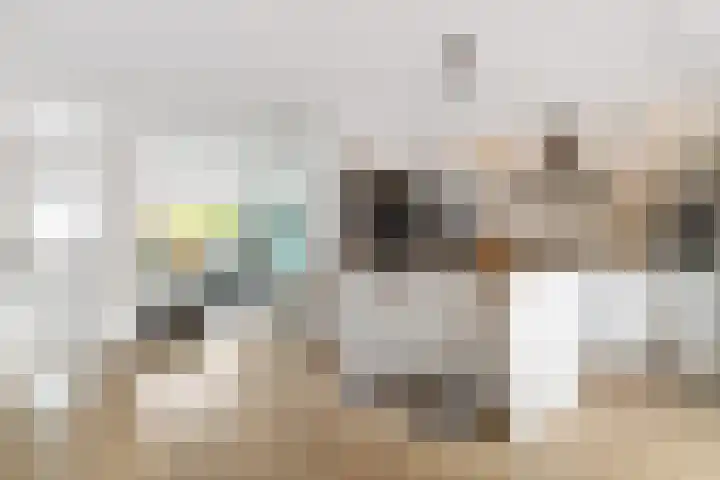 Bakboard 7 Joure thumbnail 10