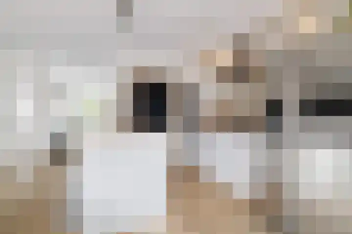 Bakboard 7 Joure thumbnail 12