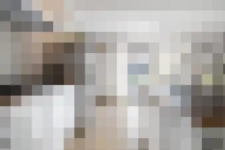 Bakboard 7 Joure thumbnail 14