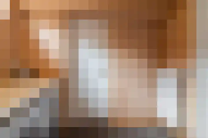 Bakboard 7 Joure thumbnail 16